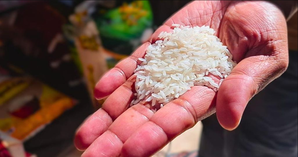 Dugaan Beras Palsu di Tarakan: DKPP Kirim Sampel untuk Uji Laboratorium di Jakarta